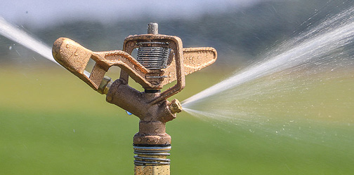 Impact Sprinklers