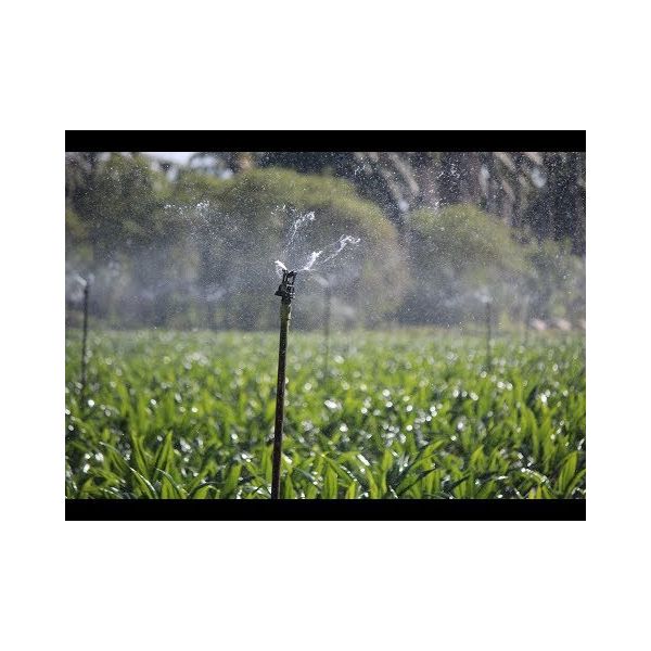Senninger Xcel-Wobbler High Angle #8 | XWOB08B3HALD | IrrigationKing