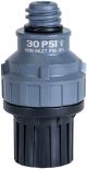 Nelson Mini Pressure Regulator - 30 PSI - 1/2