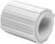 PVC Threaded Coupler - 1