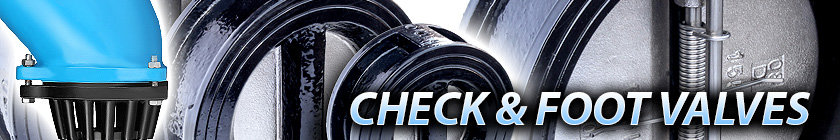 Check and Foot Valves